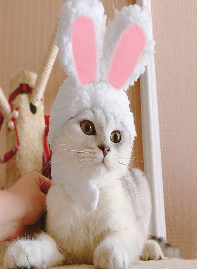 YUJUN Cat Easter Cute Costume Pet Bunny Rabbit Hat with Ears for Cats Small Dogs Puppy Easter Party Costume Accessory Headwear - Image 1